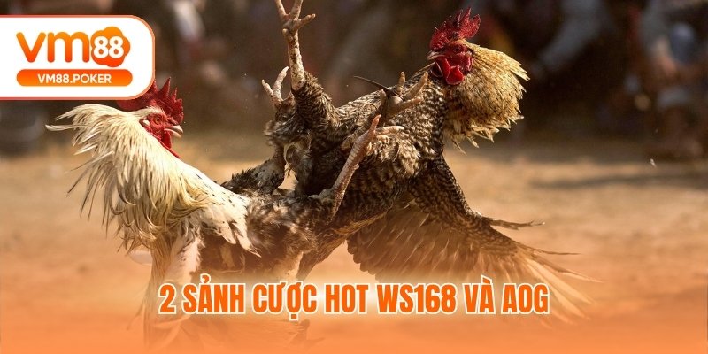 2 sảnh cược hot WS168 và AOG