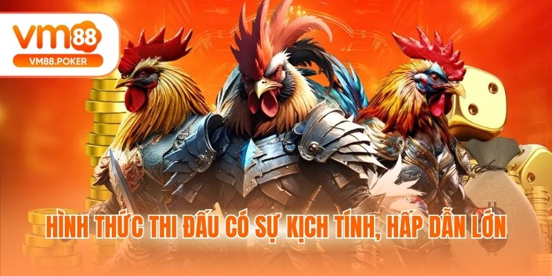 Hình thức thi đấu có sự kịch tính, hấp dẫn lớn