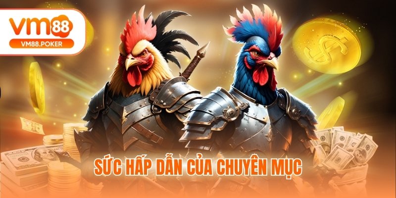 Sức hấp dẫn của chuyên mục